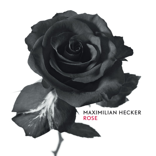 Rose (CD)